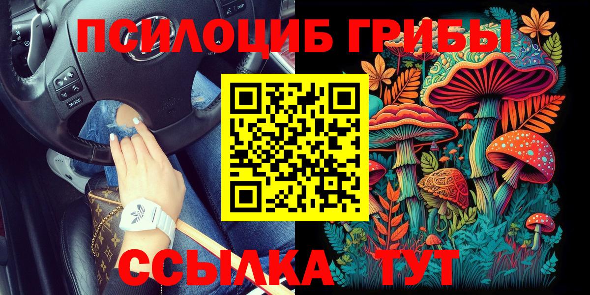 Советск  наркотики  Вход с VPN  Псилоцибиновые грибы Psilocybe 